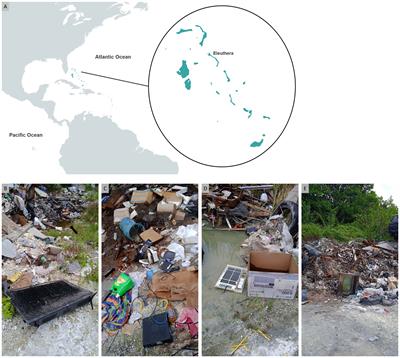 Managing technology-critical elements from electronic waste in Small Developing Island States: a burden or an opportunity?